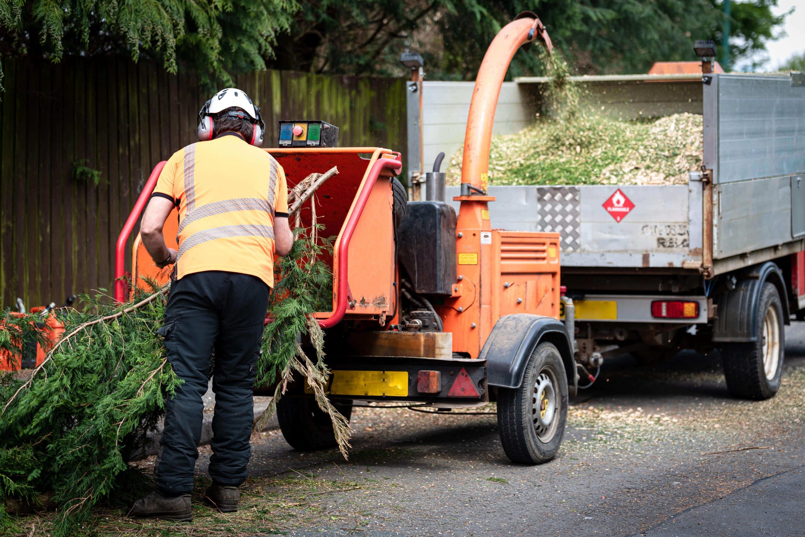 Tree Stump Grinding/Removal South Kensington SW7